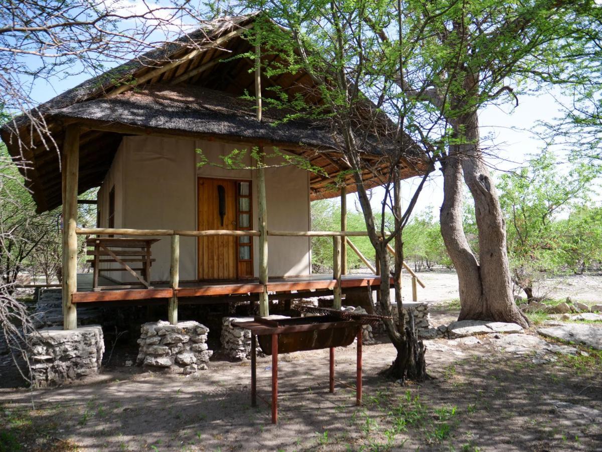 Thakadu Bush Camp Villa Ghanzi Eksteriør billede